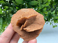 Natural Desert Rose Crystal – Root Chakra Healing Selenite Stone
