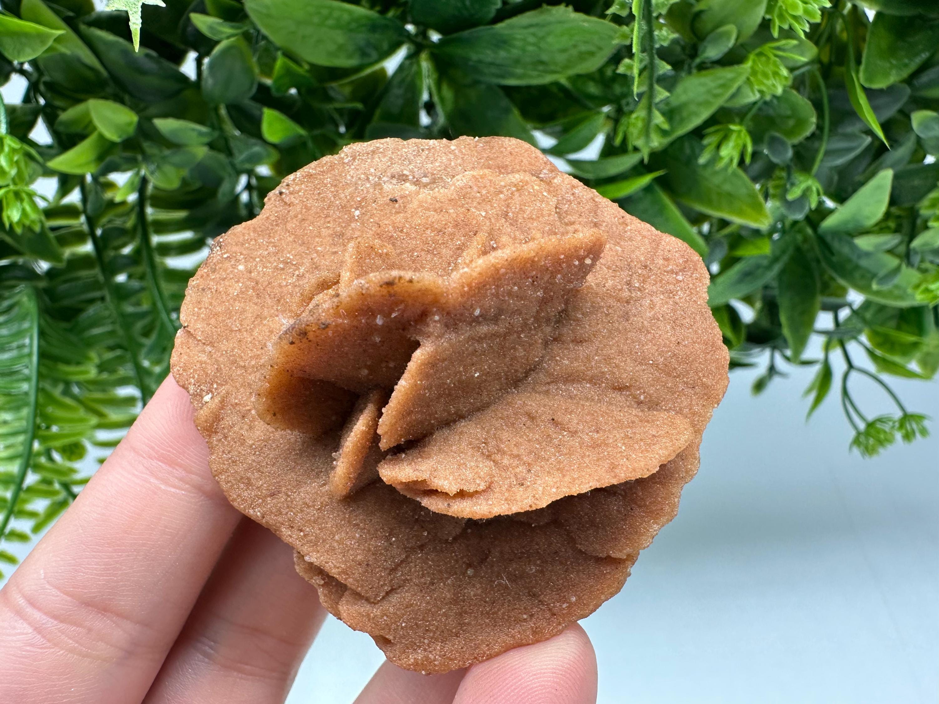 Natural Desert Rose Crystal – Root Chakra Healing Selenite Stone