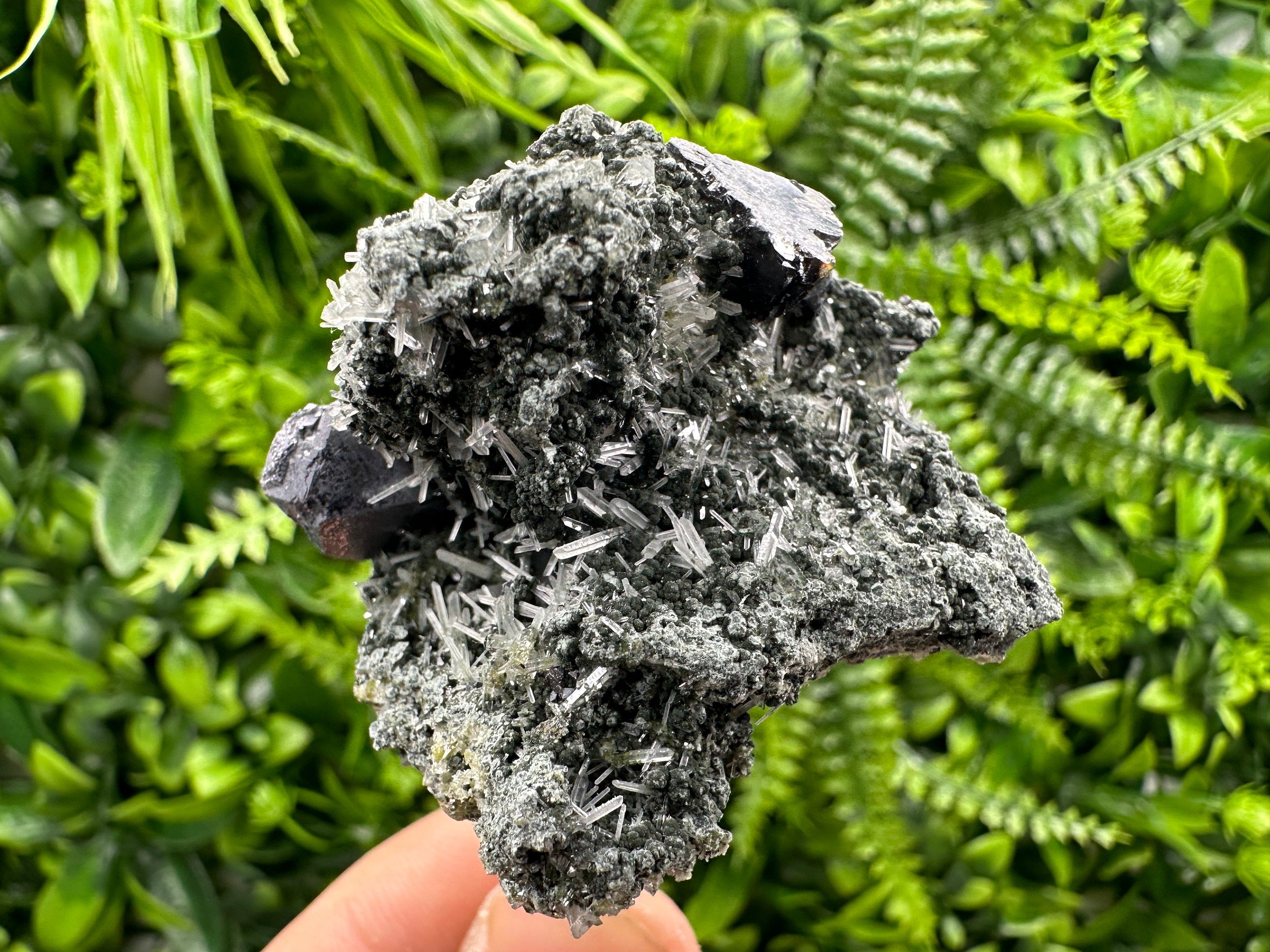 Sphalerite Galena on Green Quartz: Borieva Mine Crystal Decor