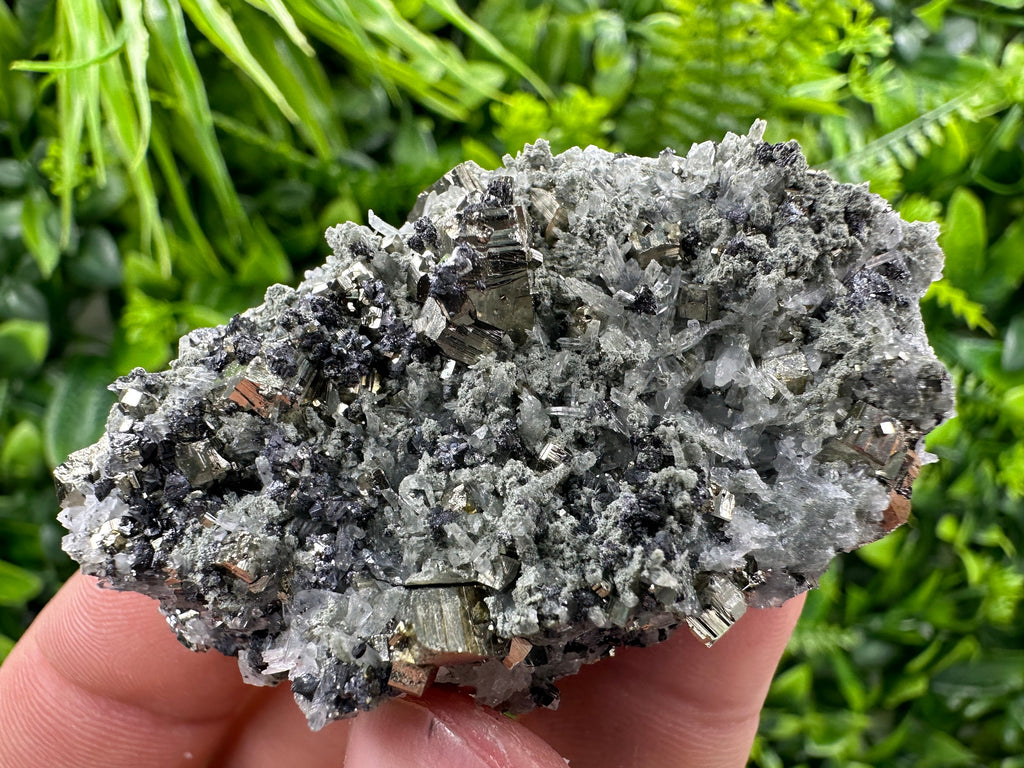 Pyrite on Quartz Needles, Borieva Mine Bulgaria, Natural Mineral Specimen