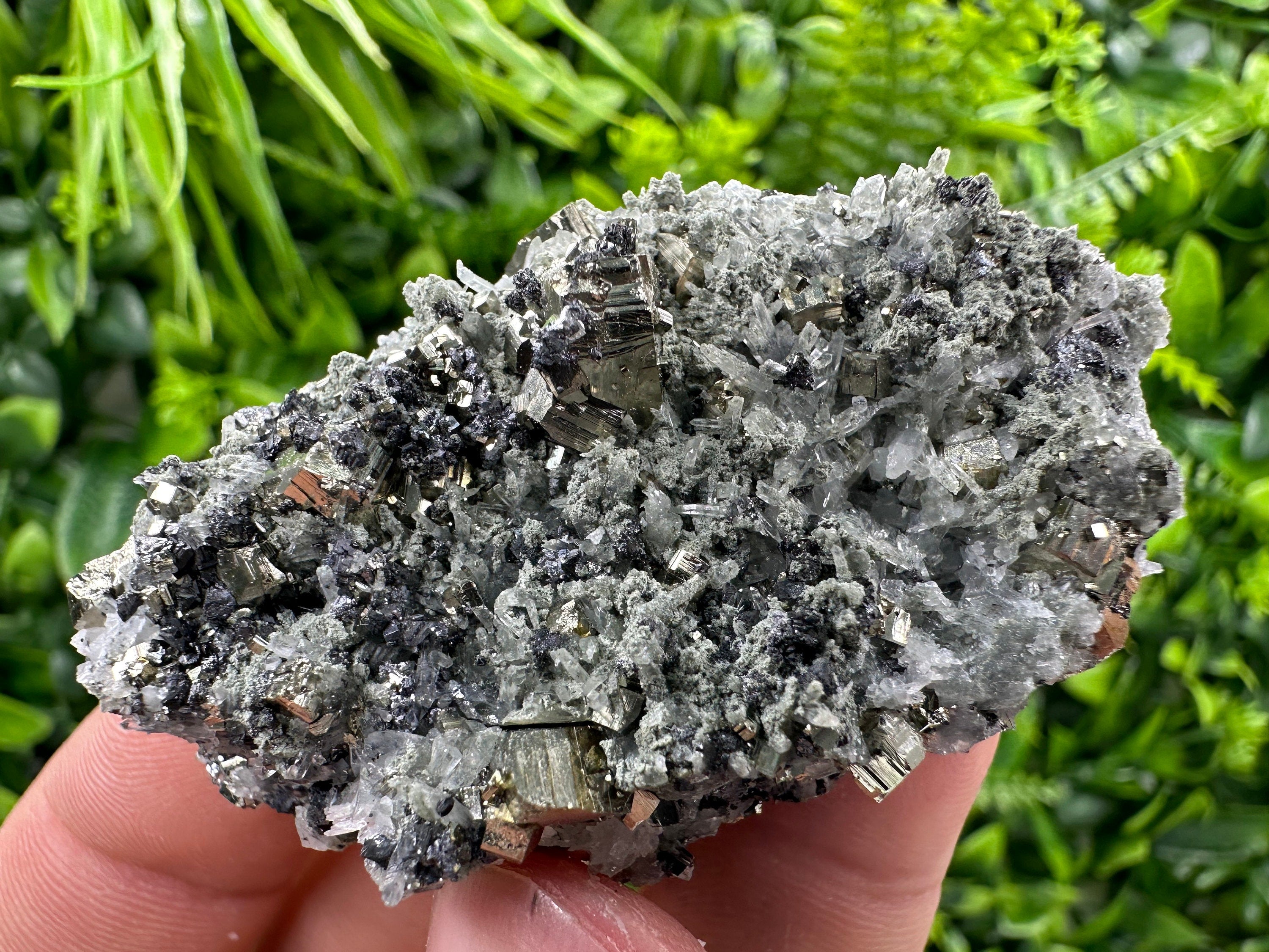 Pyrite on Quartz Needles, Borieva Mine Bulgaria, Natural Mineral Specimen