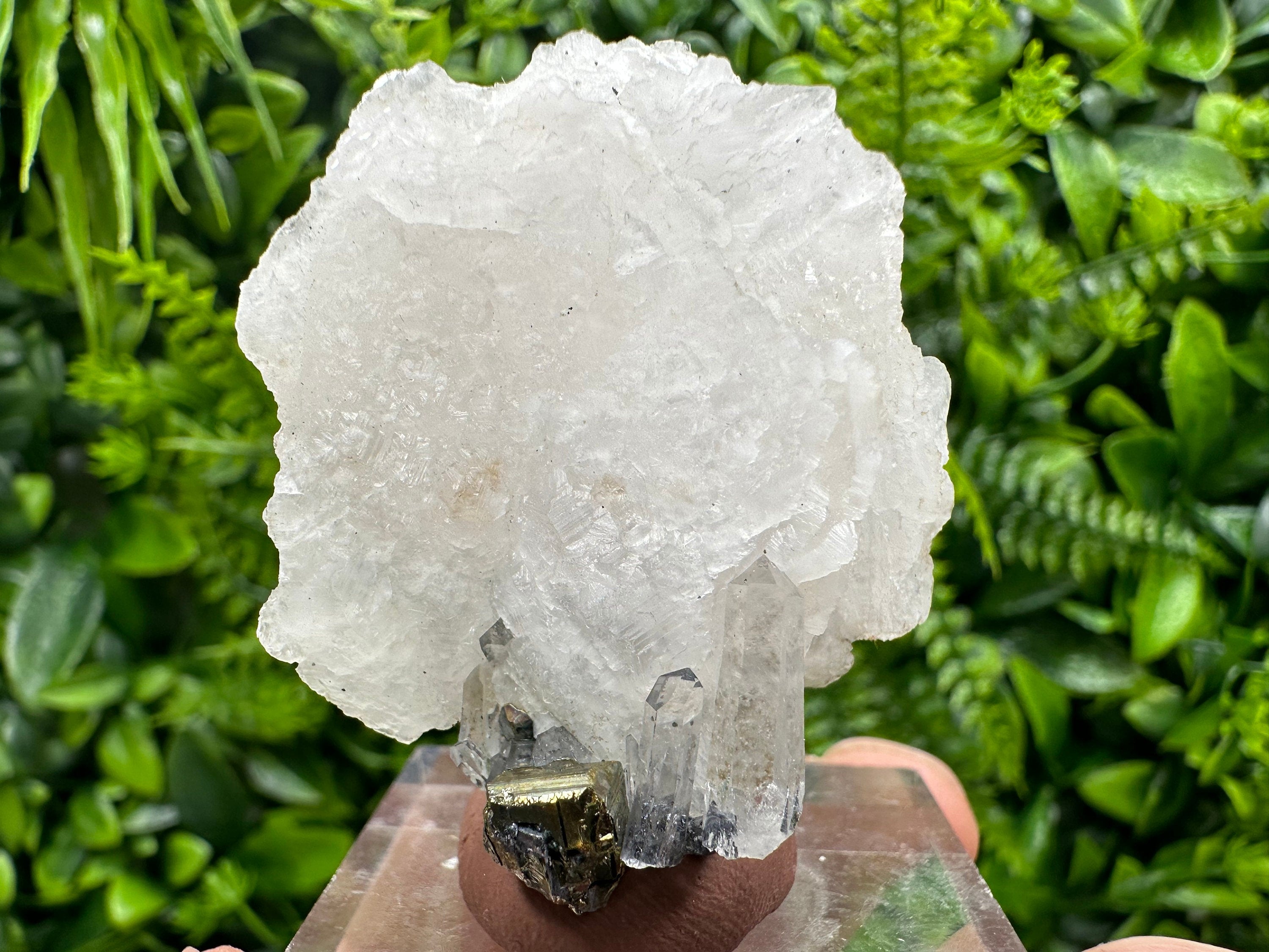 Mangano Calcite Wing on Quartz with Pyrite, Madan Bulgaria Mineral Specimen