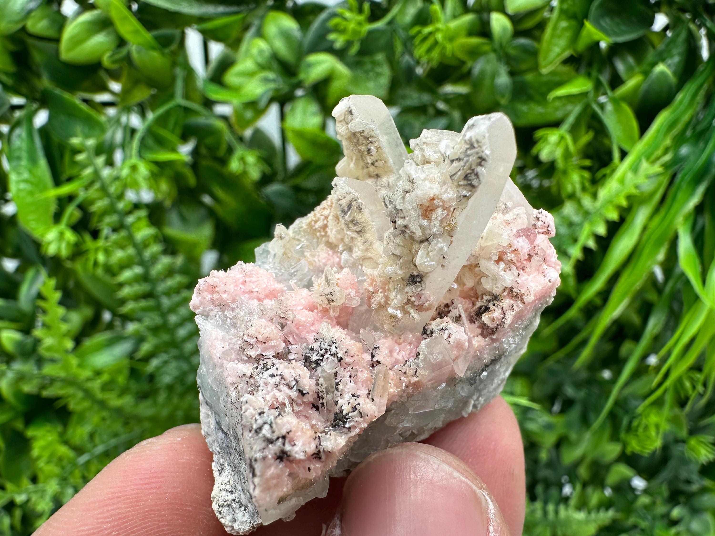 Pink Rhodochrosite Crystal: Starnica Mine, Bulgaria, Home Decor