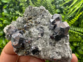Galena Spinel Law Crystal on Quartz, Chlorite Mineral Specimen