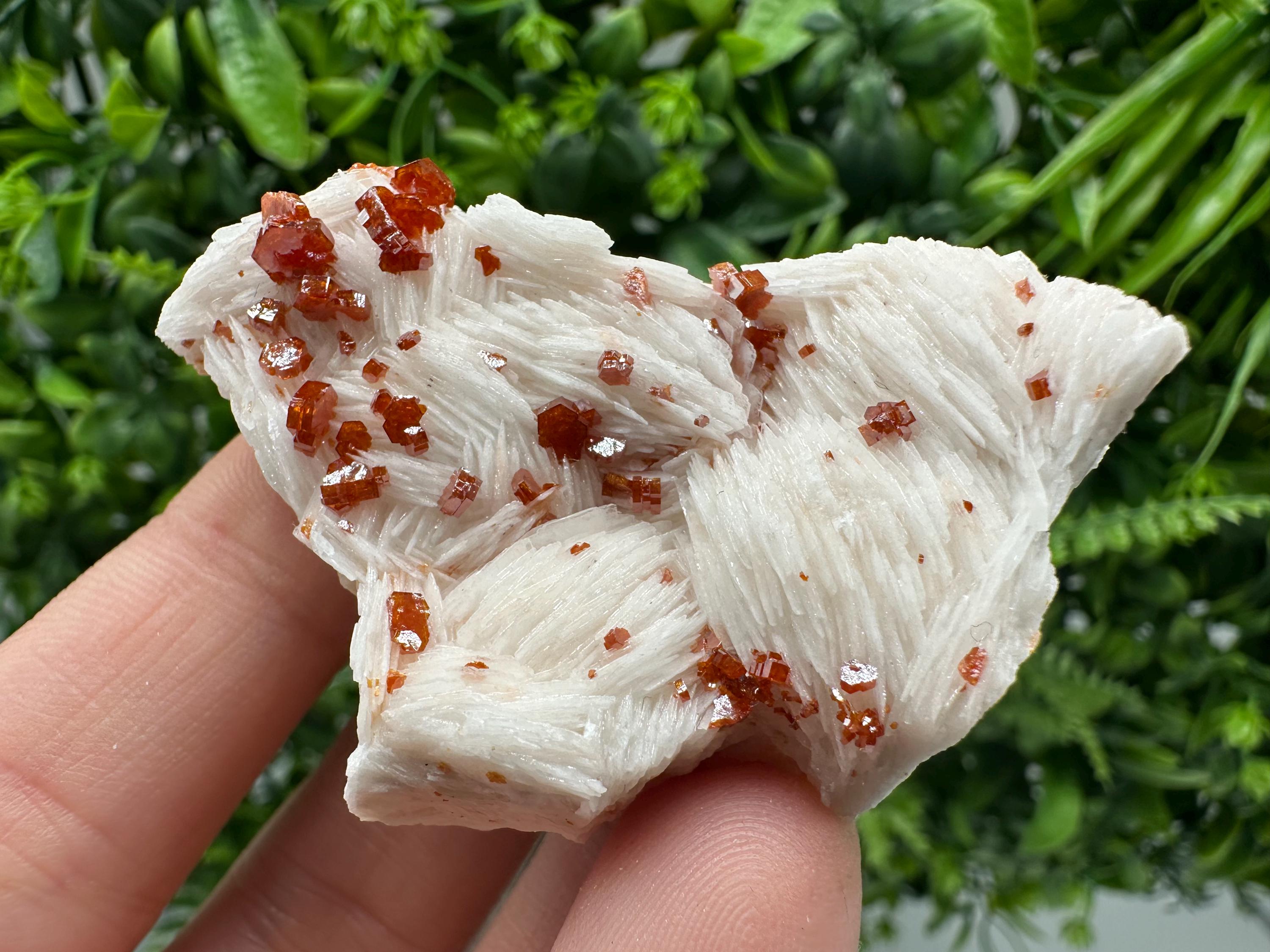 Red Vanadinite on Barite Cluster, Morocco Mineral Specimen