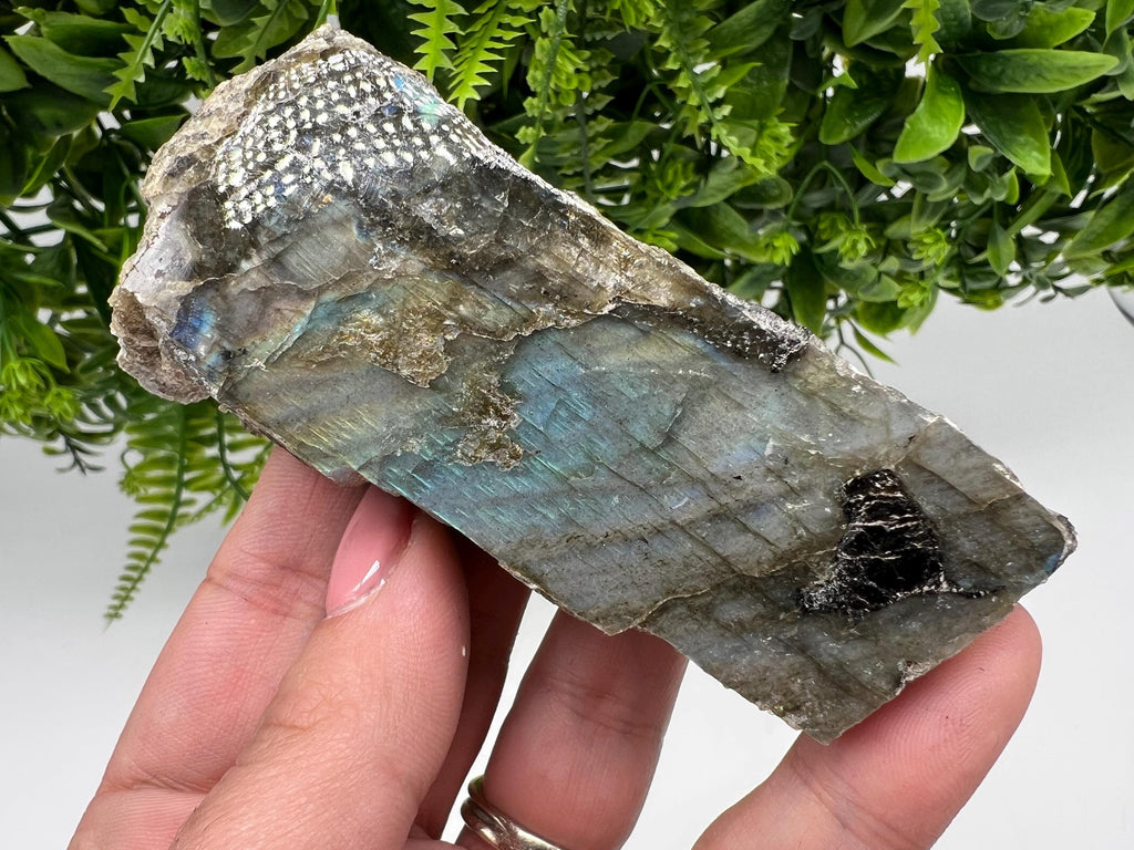Polished Multifire Labradorite Slab: Crystal Decor, Crystal Grid (10.5/5/2.4 CM, 179 Grams)