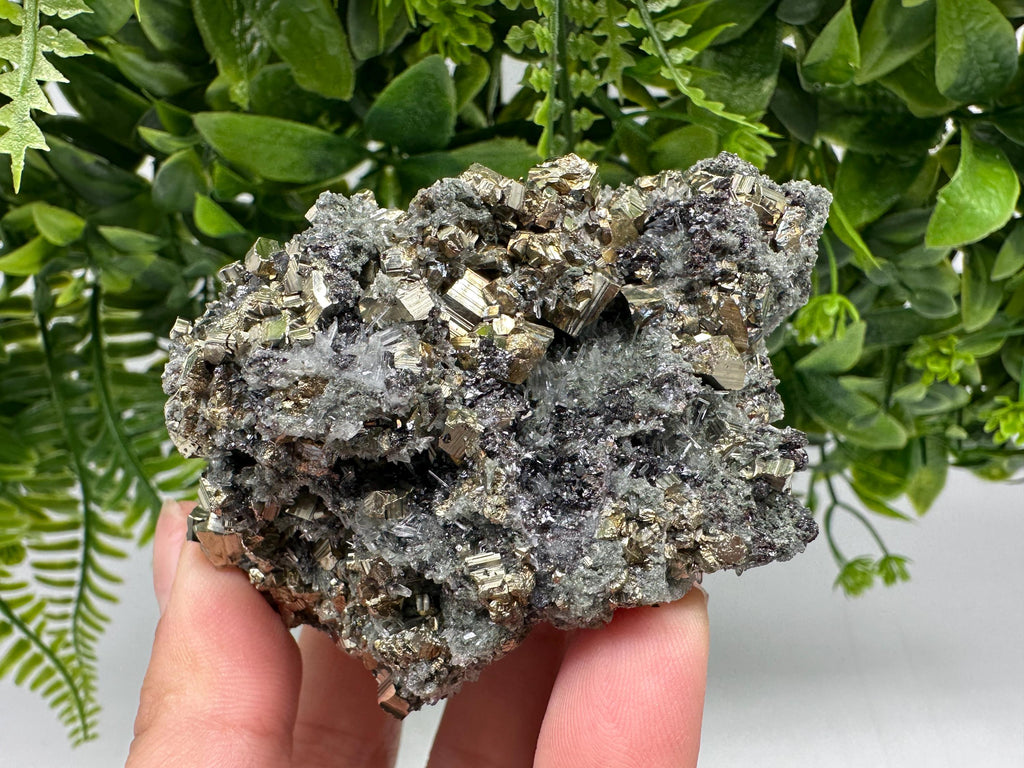 Pyrite on Green Quartz: Rare Mineral Specimen, Borieva Mine