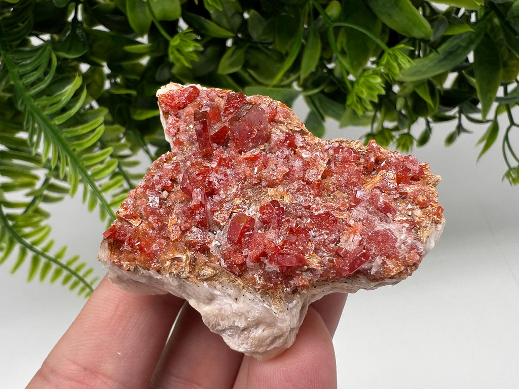 Red Vanadinite on Barite Specimen, Morocco Mineral Cluster