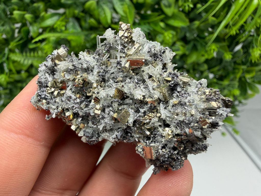Pyrite on Green Quartz Mineral Specimen, Borieva Mine, Bulgaria