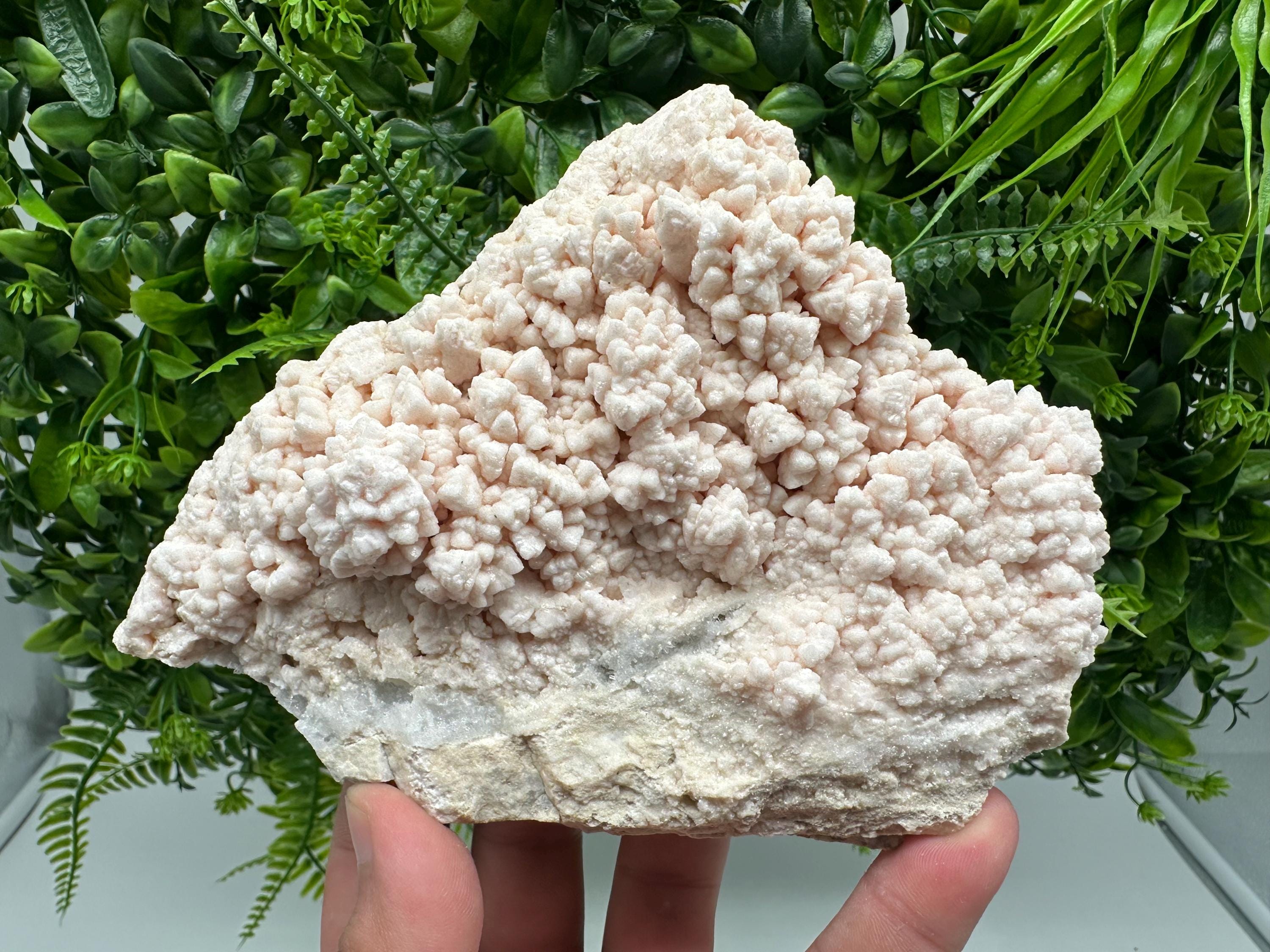 Pink Manganocalcite Mineral Specimen: Krushev Dol Mine, Bulgaria