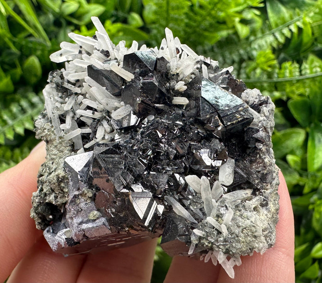 Borieva Sphalerite on Quartz: Rare Mineral Cluster