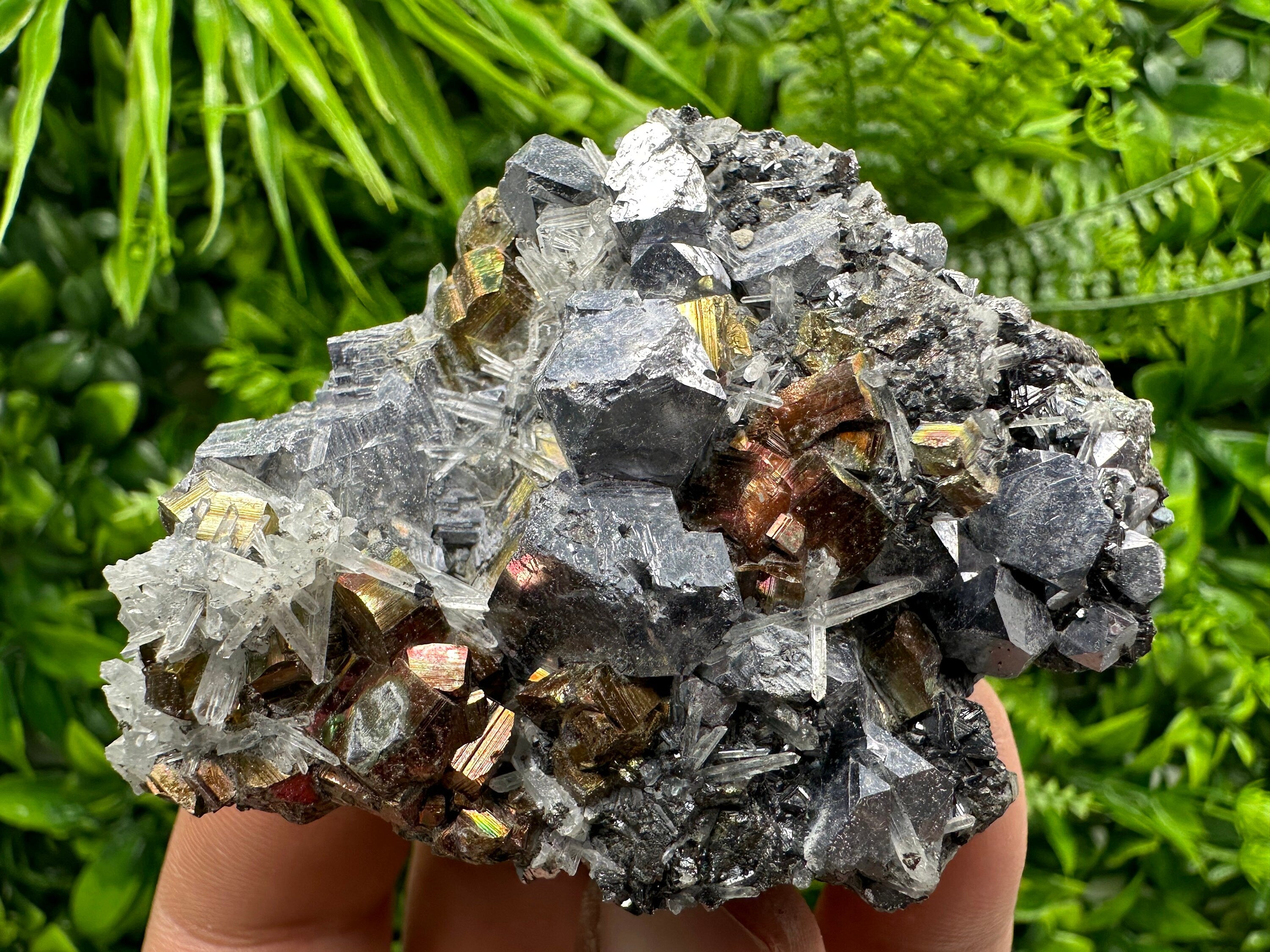 Red Pyrite, Galena, Sphalerite & Quartz Crystal Cluster - Borieva Mine