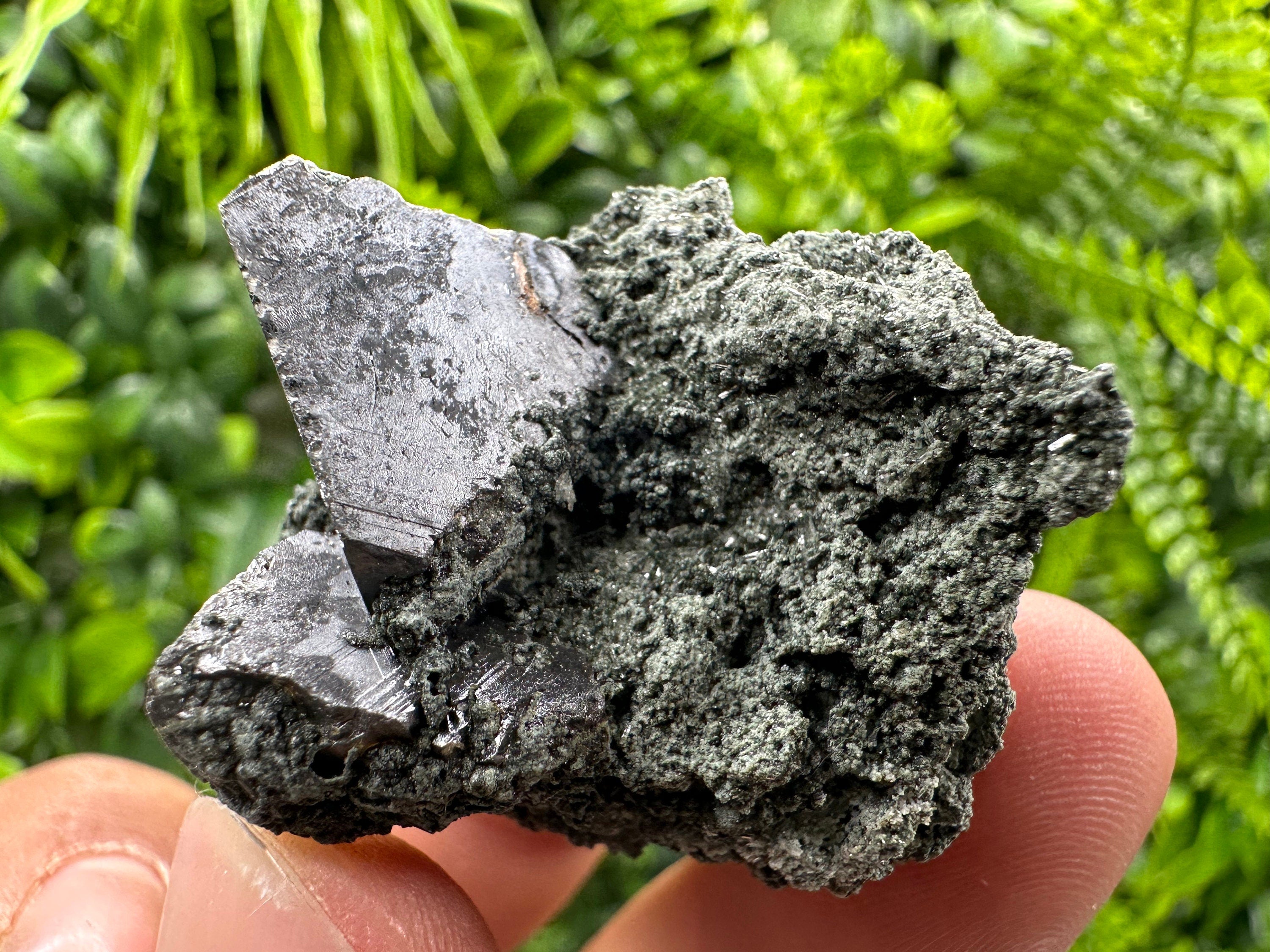 Sphalerite with Chlorite, Borieva Mine, Bulgaria – Natural Mineral Specimen