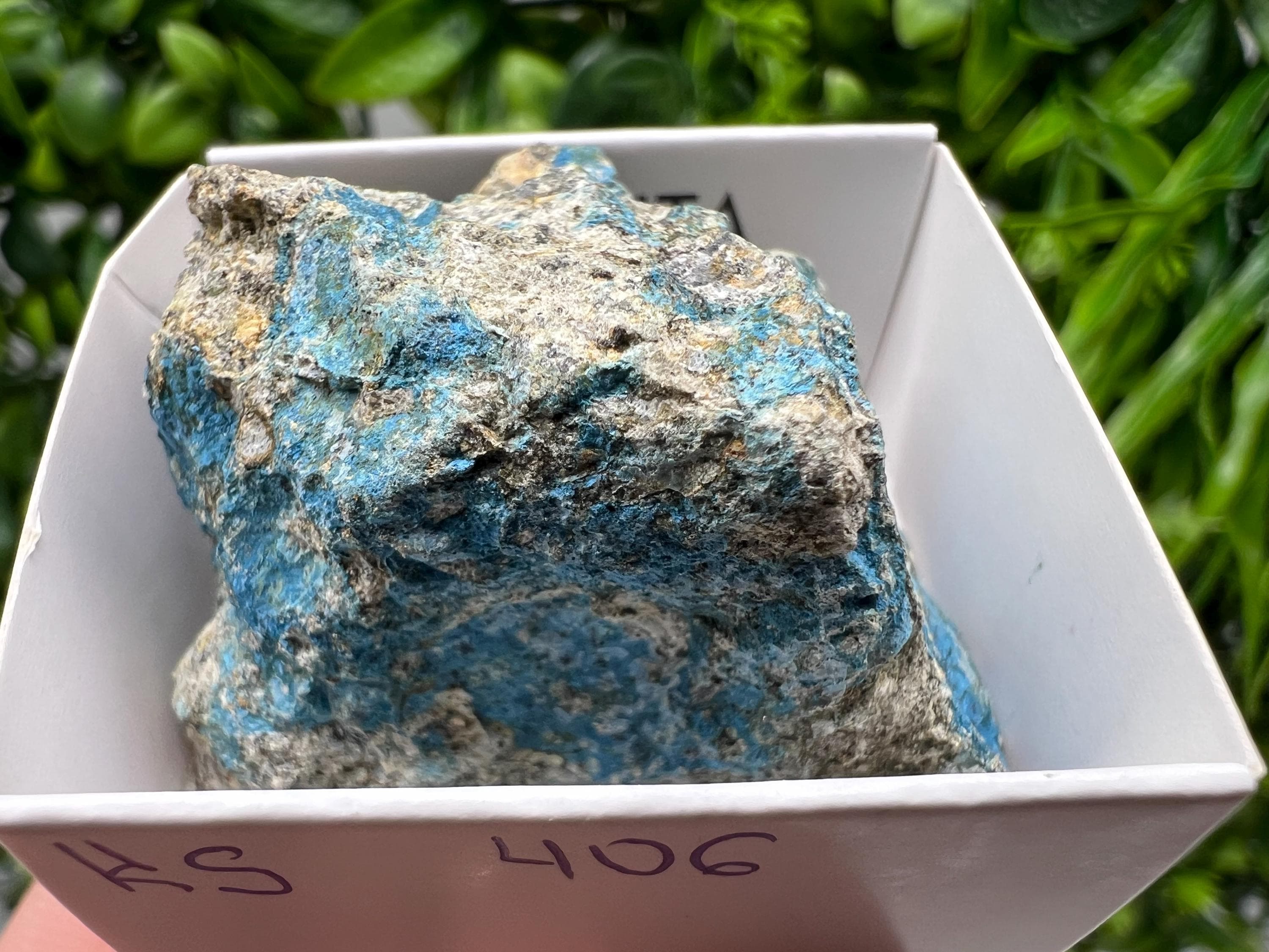 Rare Raw Aerinite Mineral Specimen: Lleida, Spain Collection Crystal