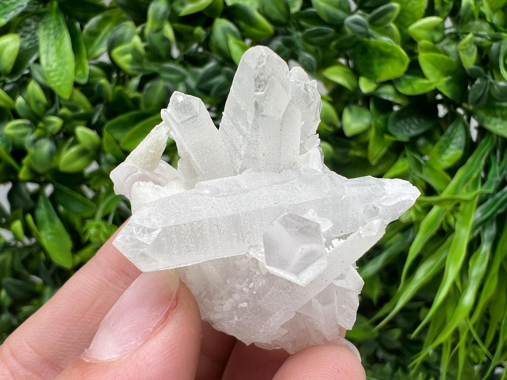Wonderful Transparent Quartz on Chlorite Matrix,From Borieva mine,Madan,Bulgaria,Quartz,Quartz crystal,mineral specimen,collection quartz