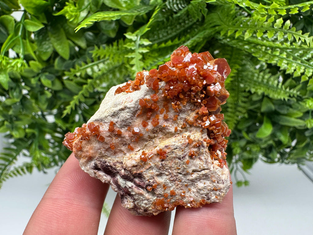 Red Vanadinite on Barite, Moroccan Crystal Specimen