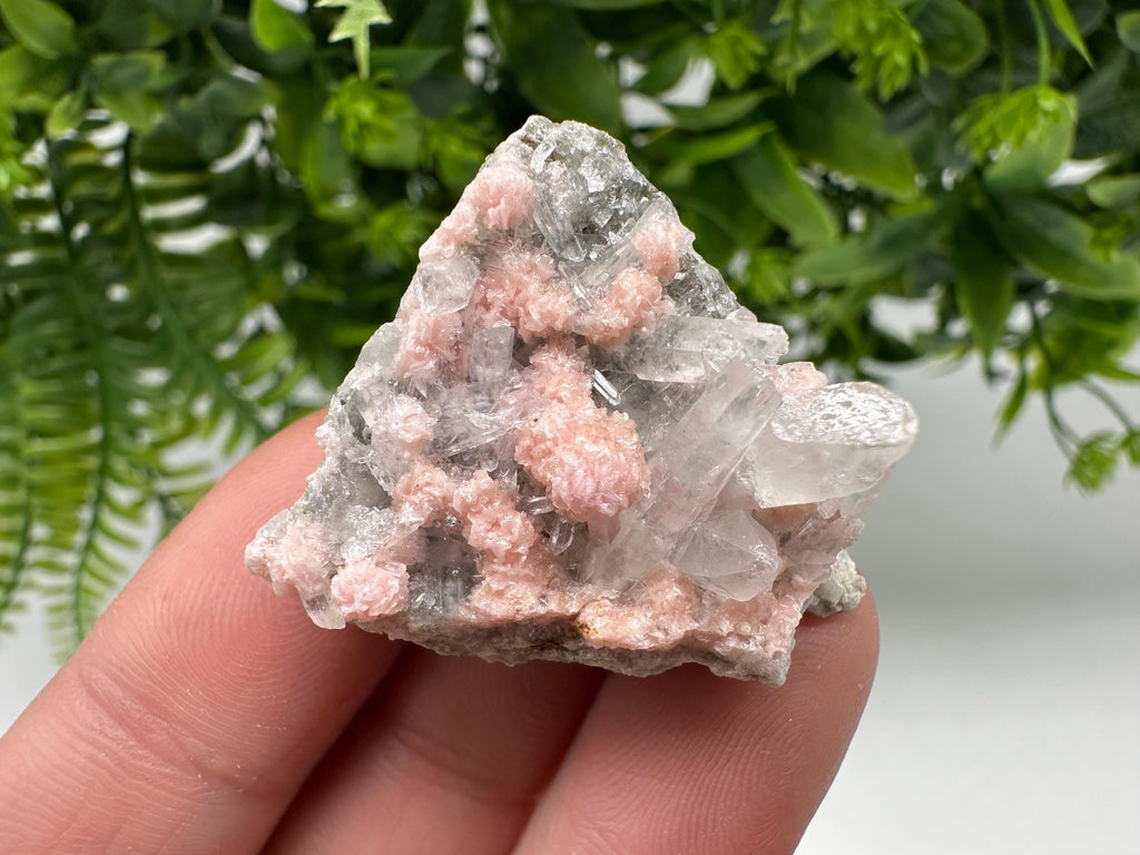 Pink Rhodochrosite Crystal: Starnica Mine, Bulgaria, Home Decor