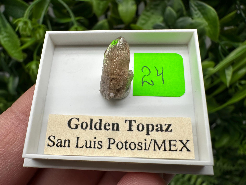Golden Topaz Crystal, Mineral Specimen from Mexico