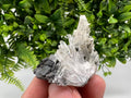 Quartz with Sphalerite: Bulgaria Crystal Stone, Minerals Collection