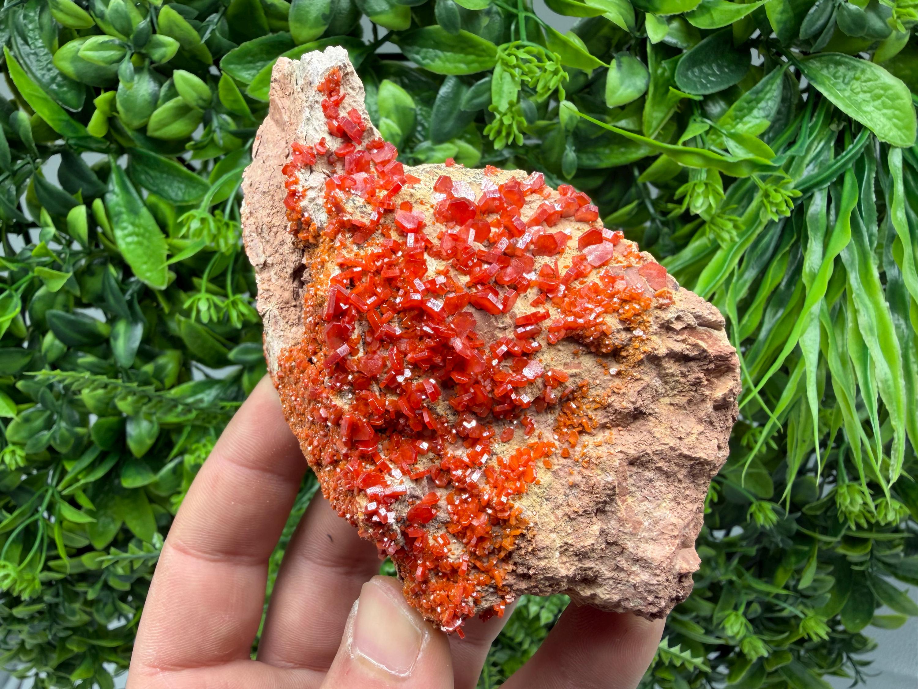 Red Vanadinite on Matrix from Marocco,crystal minerals Speciment cluster Vanadinite crystal Vanadinite Geology Vanadinite cluster minerals