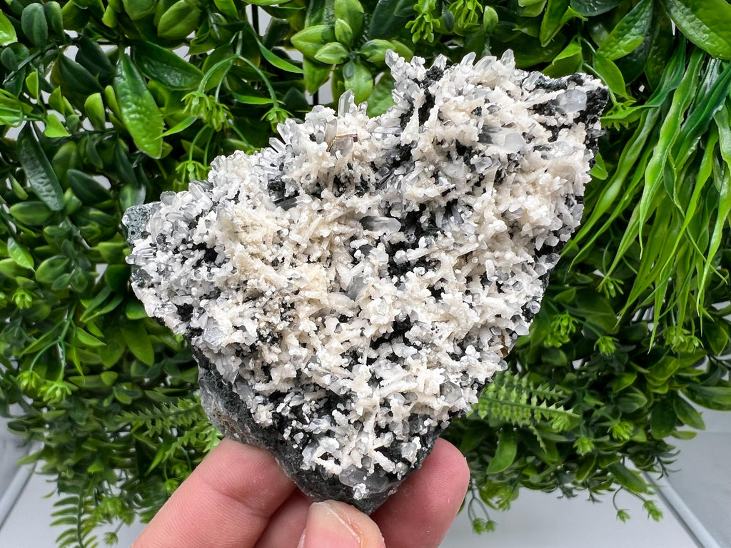 Calcite Quartz on Chlorite Matrix: Borieva Mine, Bulgaria