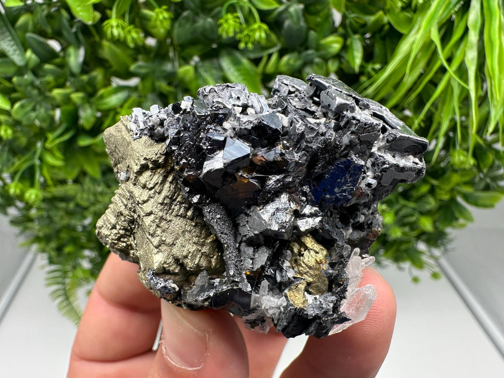 Wonderful Sphalerite Chalcopyrite on  Quartz whit Galena feom 9 th September mine,Bulgaria,natural,collection mineral specimen,gift