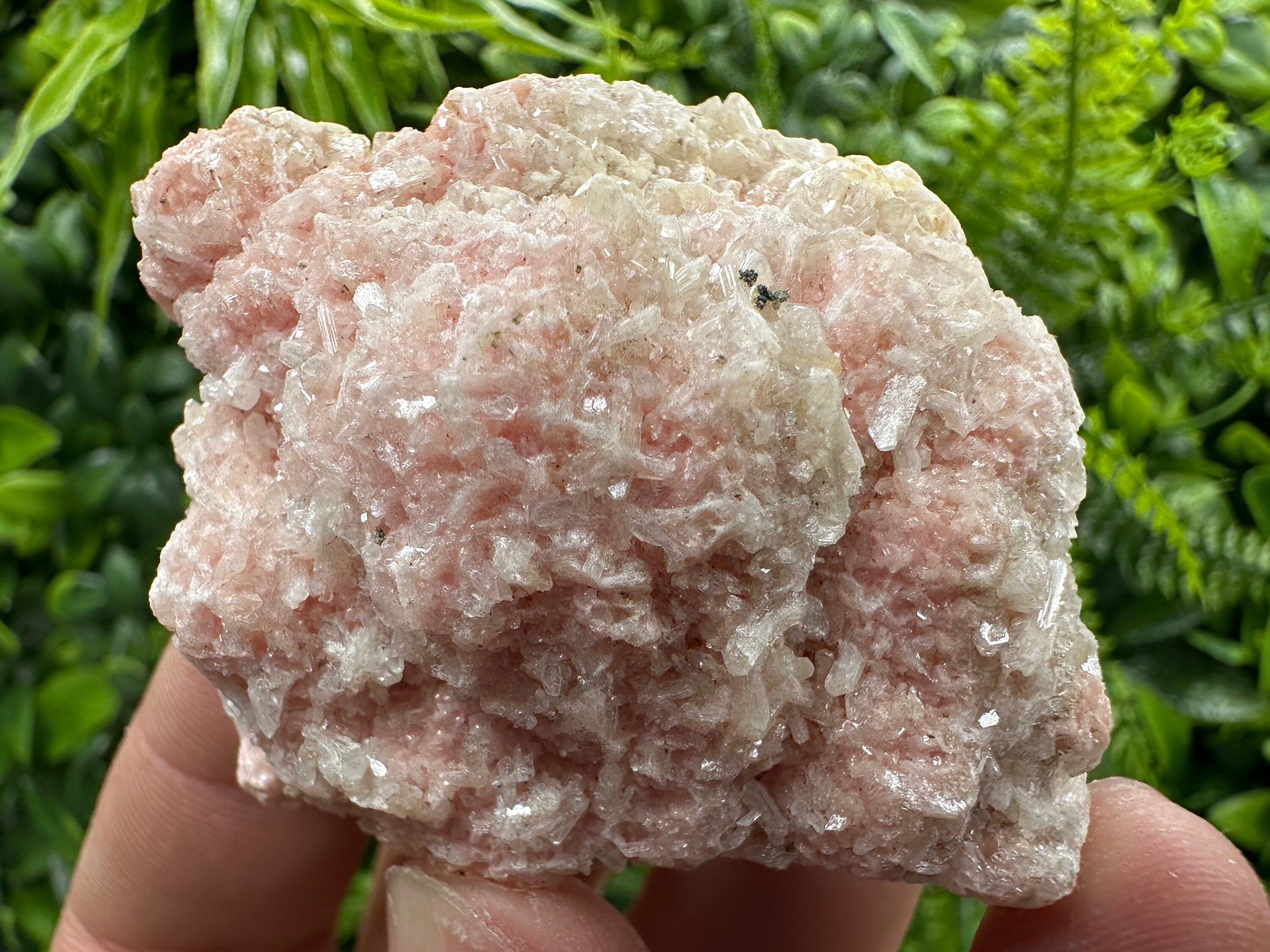 Rhodochrosite with Quartz and Stilbite, Starnica Mine Mineral Gift