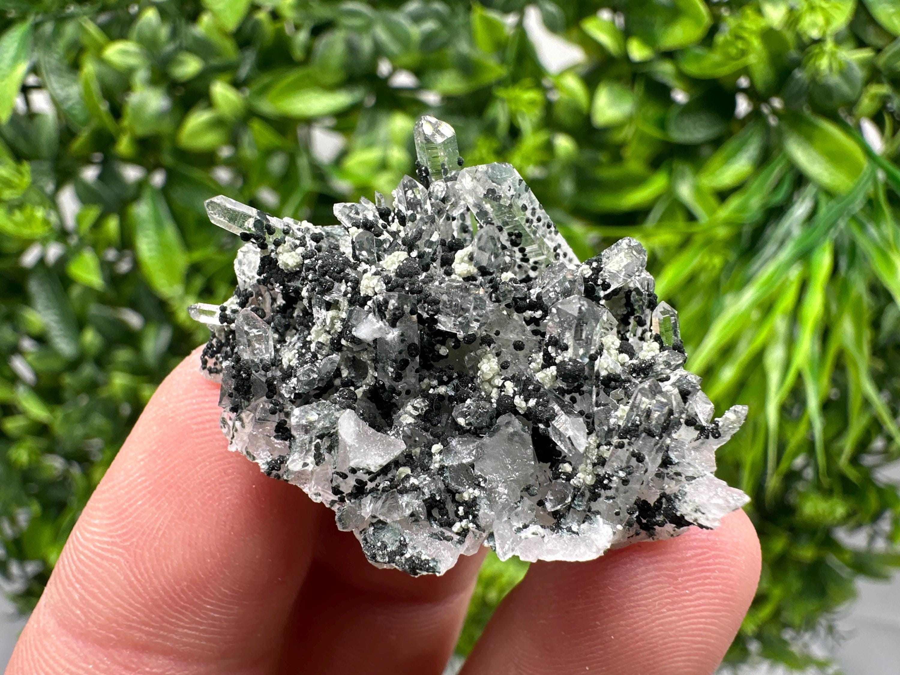 Chlorite Quartz Mineral Specimen, Borieva Mine, Bulgaria
