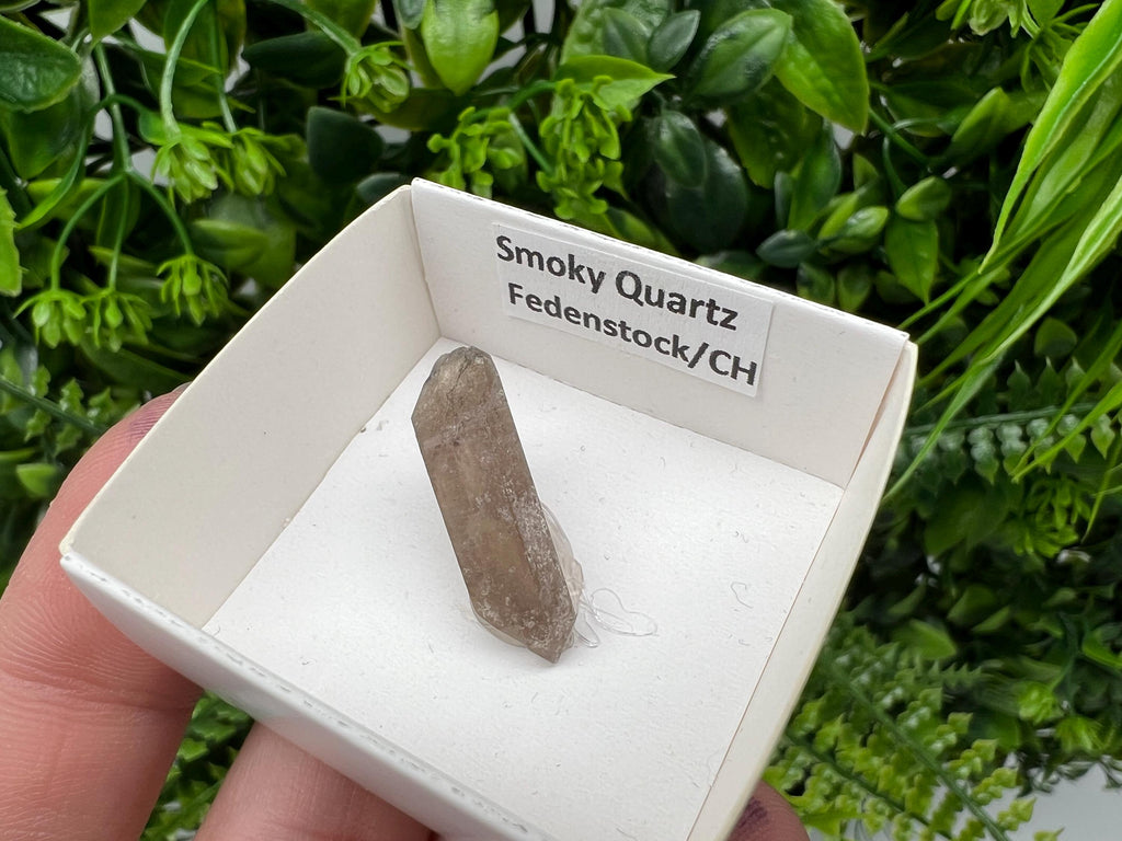Rare Fedenstock Smoky Quartz Point, Swiss Mineral Specimen (25 MM)