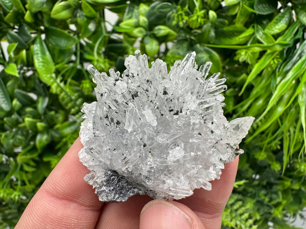 Chlorite Quartz Crystal Cluster - Borieva Mine, Bulgaria