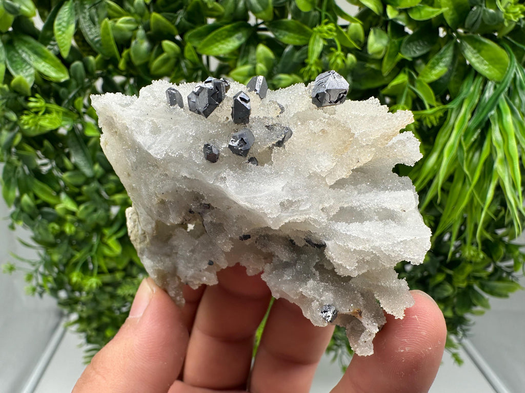 Rare Galena on Chalcedony Specimen, Krushev dol Mine, Bulgaria