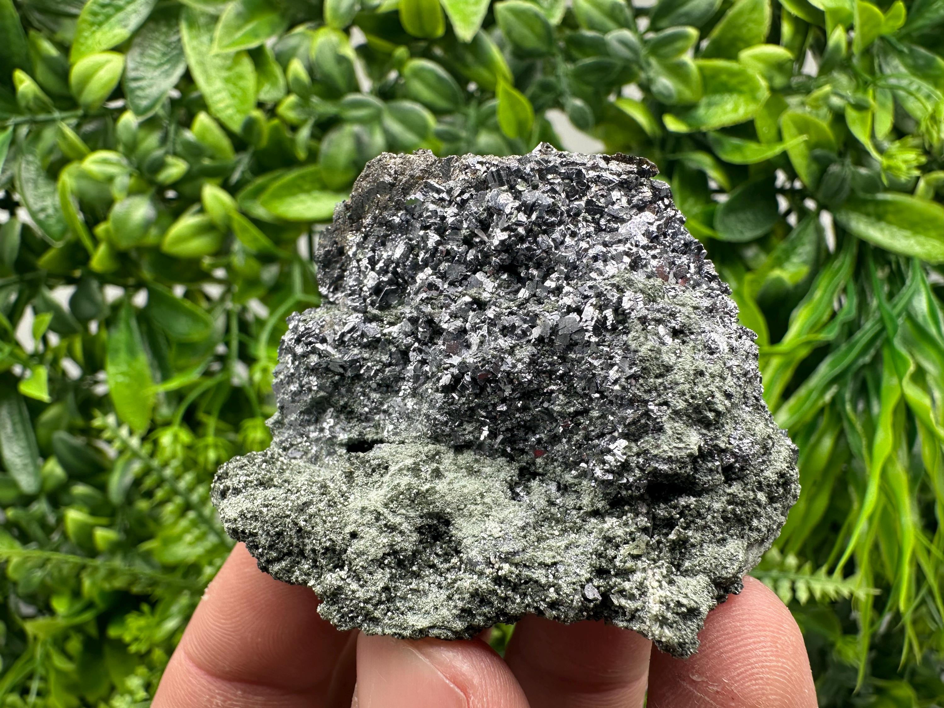 Skeletal Galena on Chlorite Matrix, Borieva Mine Mineral Specimen
