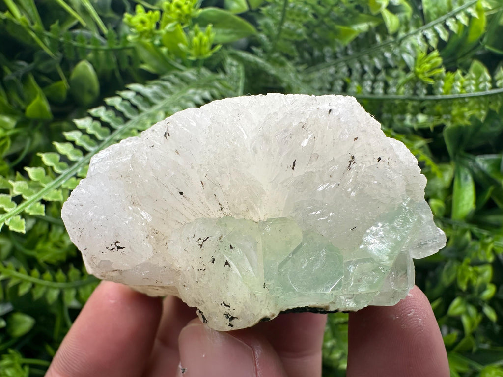 Green Apophyllite with Stilbite, India Crystal Specimen