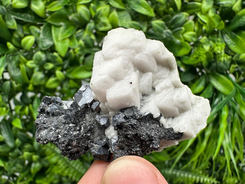 Galena Sphalerite Mineral Specimen: Calcite, Borieva Mine, Bulgaria