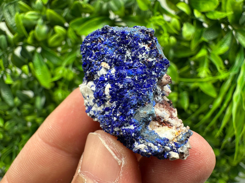 Crystallized Azurite-Kerrouchen,Morocco-Blue Azurite Specimen-High Quality Blue Azurite-Azurite Mineral Specimen, gemmy,lustrous of Azurite