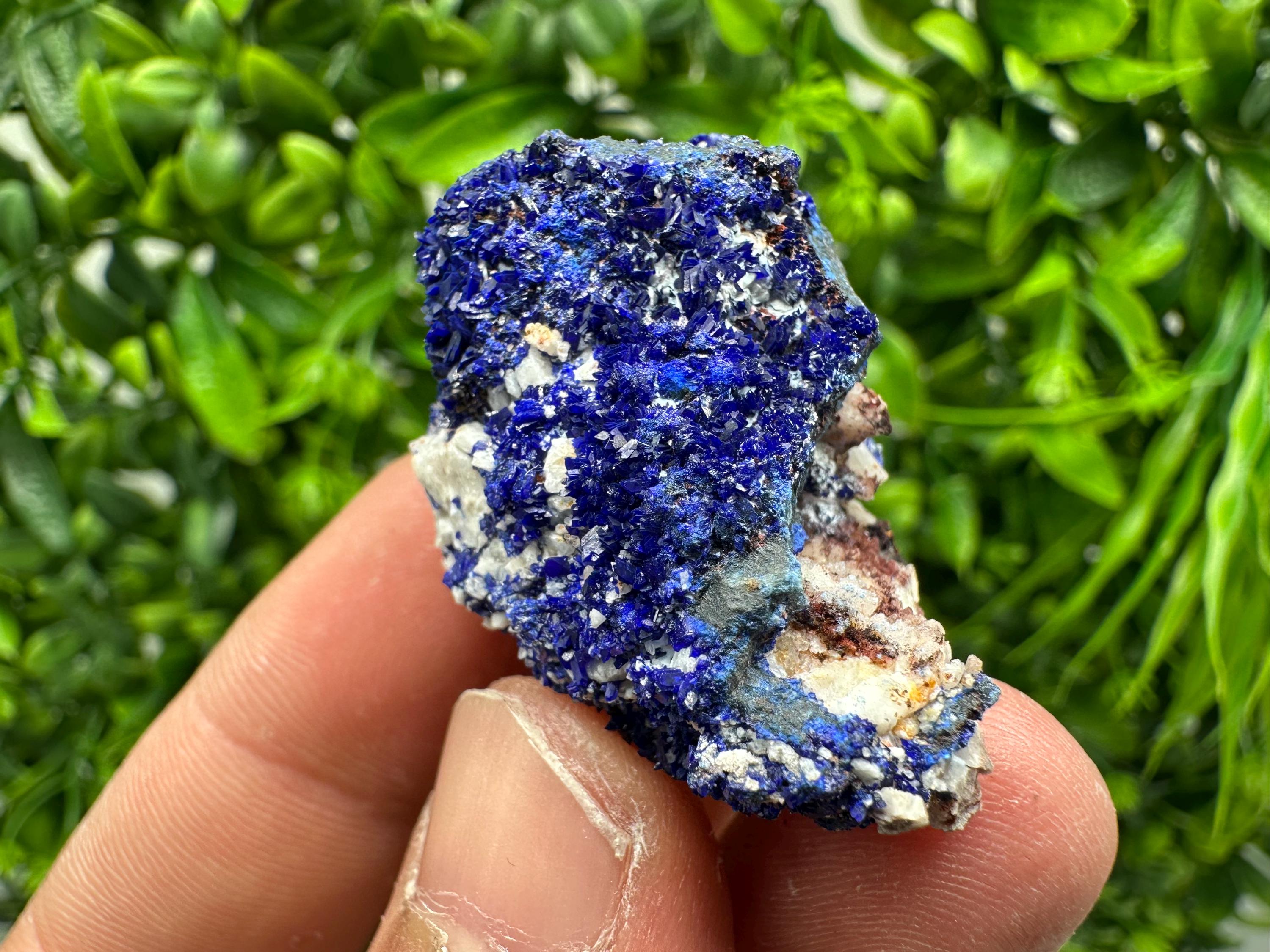 Crystallized Azurite-Kerrouchen,Morocco-Blue Azurite Specimen-High Quality Blue Azurite-Azurite Mineral Specimen, gemmy,lustrous of Azurite