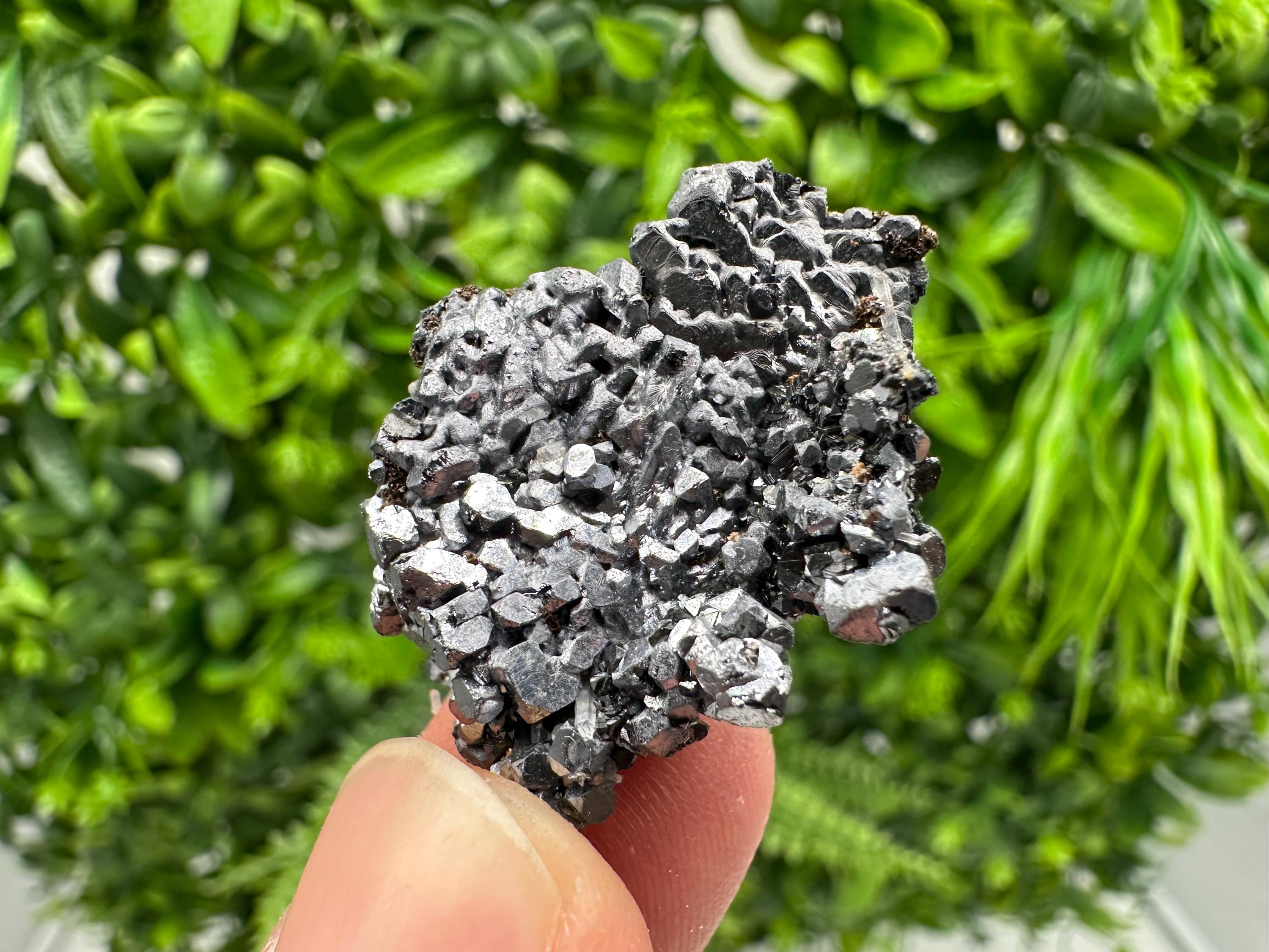 Shiny Galena Cluster: Borieva Mine, Bulgaria - Natural Mineral Stone