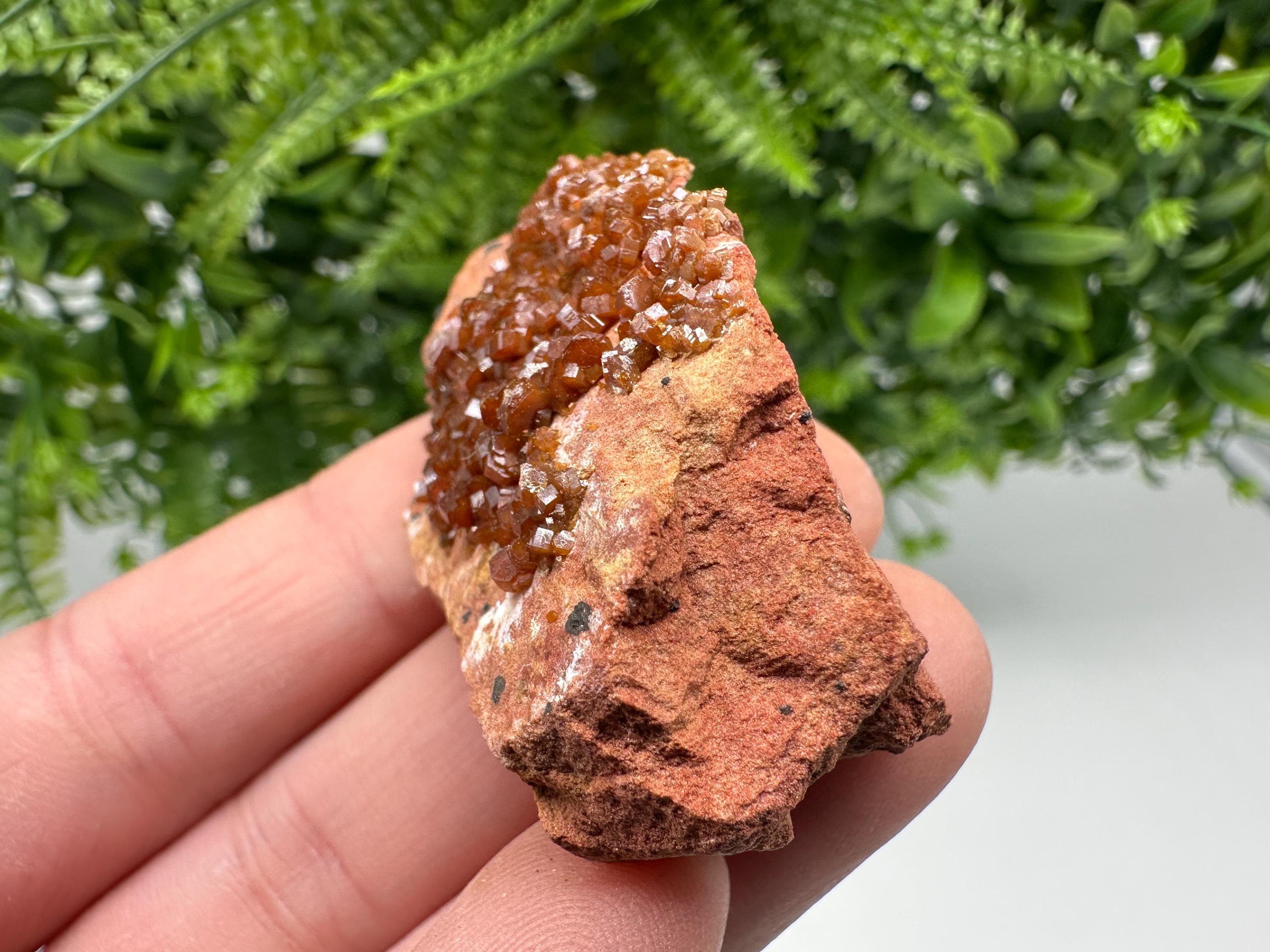 Red Vanadinite on Matrix from Marocco,crystal minerals Speciment cluster Vanadinite crystal Vanadinite Geology Vanadinite cluster minerals