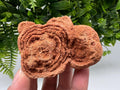 Raw Moroccan Stromatolite Fossil Specimen, Algae Stone for Meditation