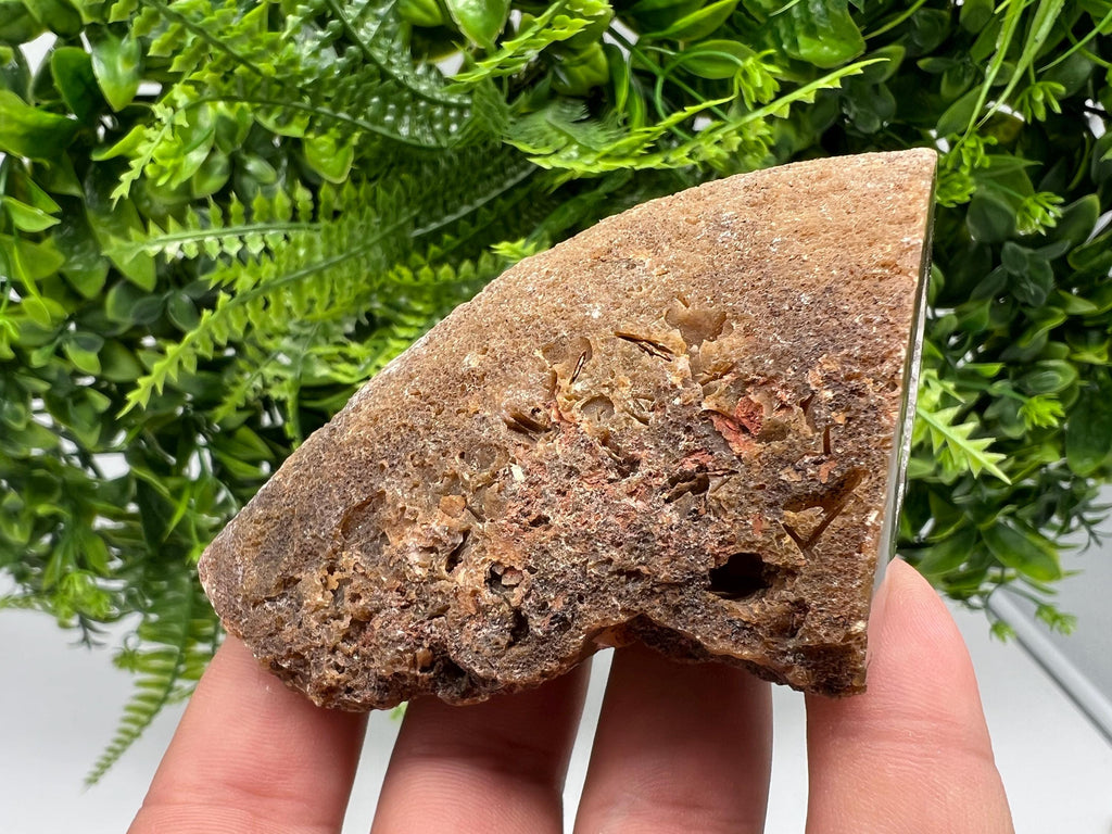 Natural Agate Druzy Geode, Crystal Quartz