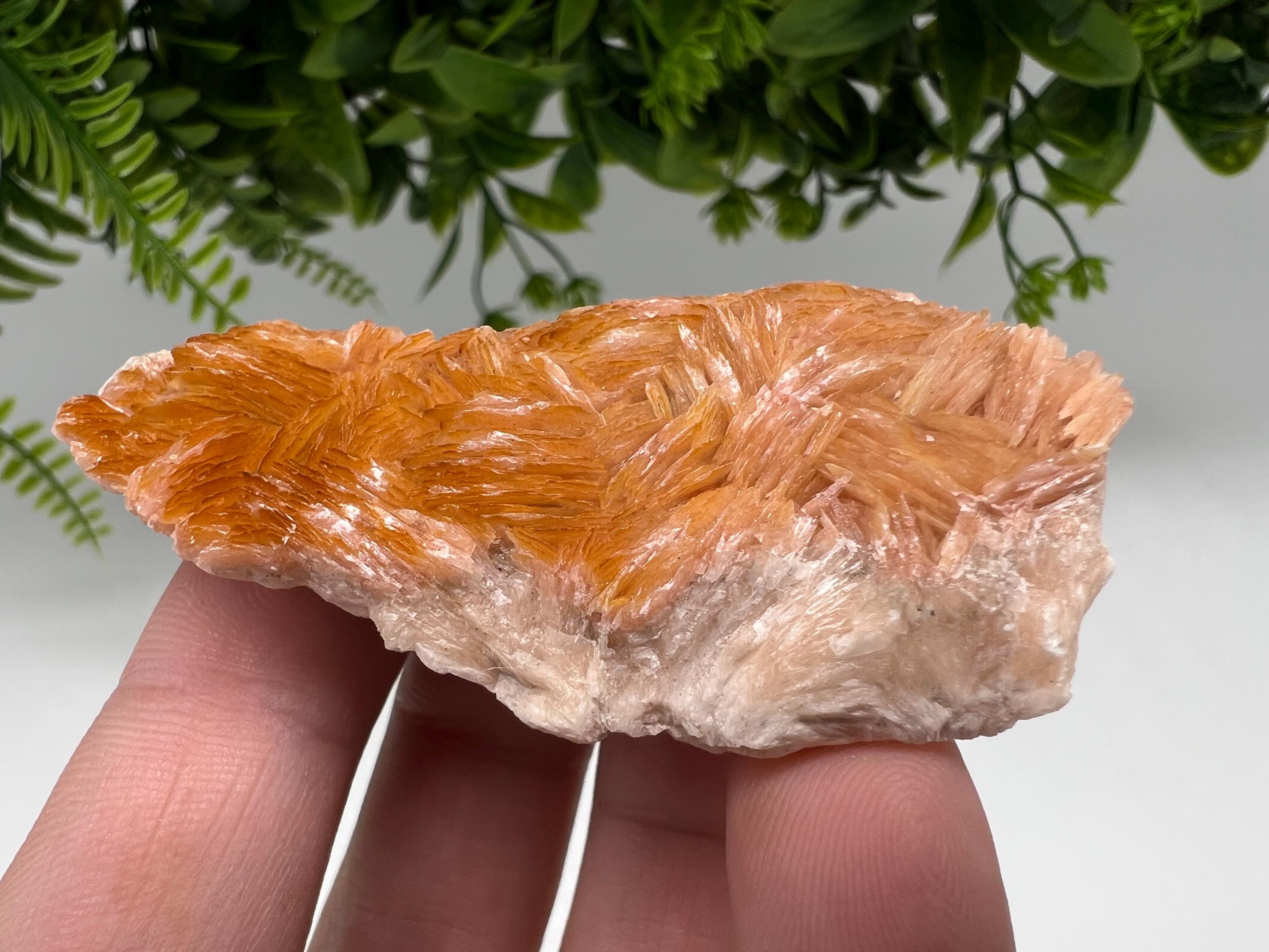 Wonderful Baryte with Cerussite on Galena from Morocco,Crystal, Mineral,Specimen,Cluster,Crystals,Barite Crystal,Cerussite Crystal,Specimen