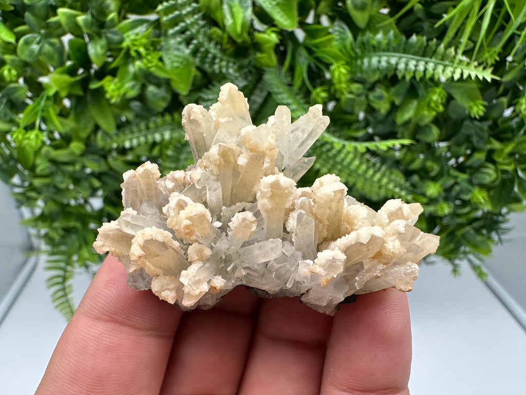 Calcite on Green Quartz: Djurcovo Mine, Bulgaria Healing Crystal