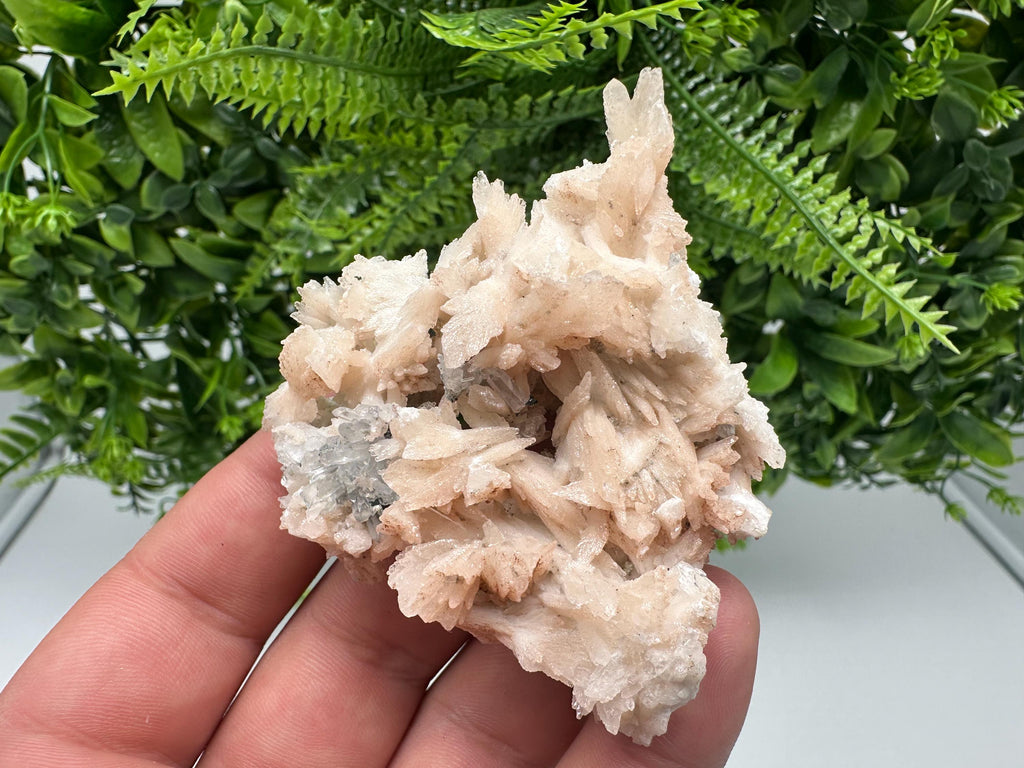 Calcite on Green Quartz: Djurcovo Mine, Bulgaria Crystal