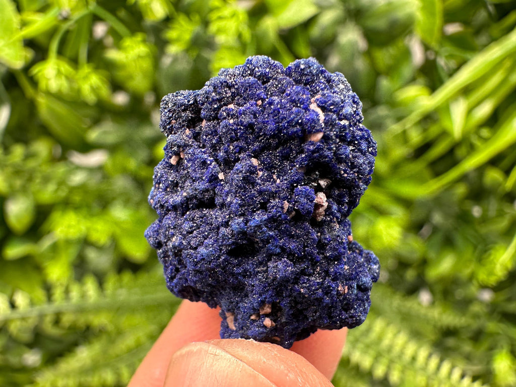 Crystallized Azurite-Kerrouchen,Morocco-Blue Azurite Specimen-High Quality Blue Azurite-Azurite Mineral Specimen, gemmy,lustrous of Azurite