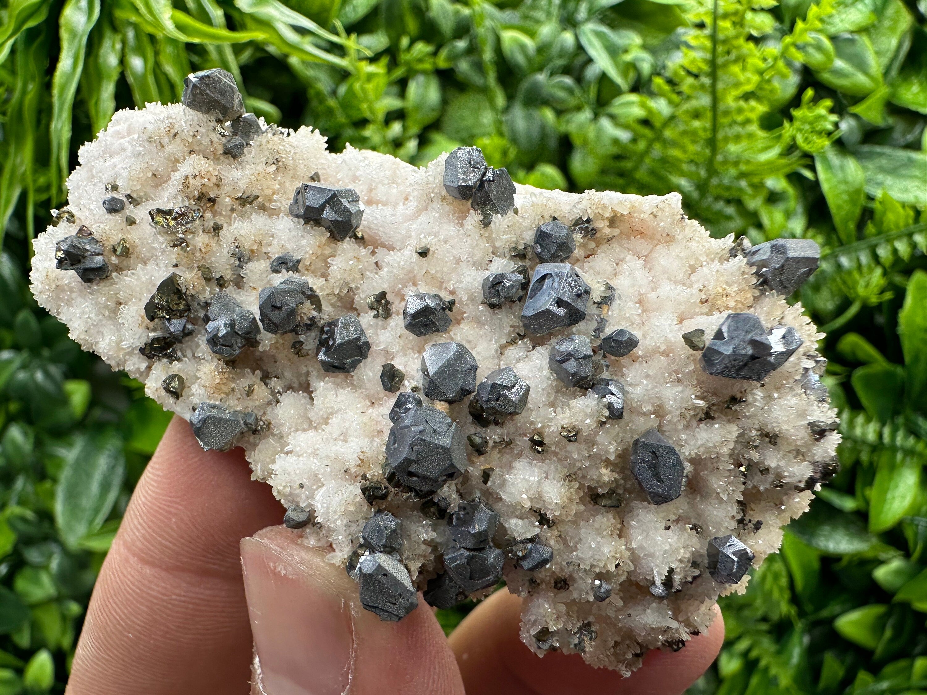 Galena with Chalcopyrite on Mangano Calcite: Natural Mineral Crystal Decor