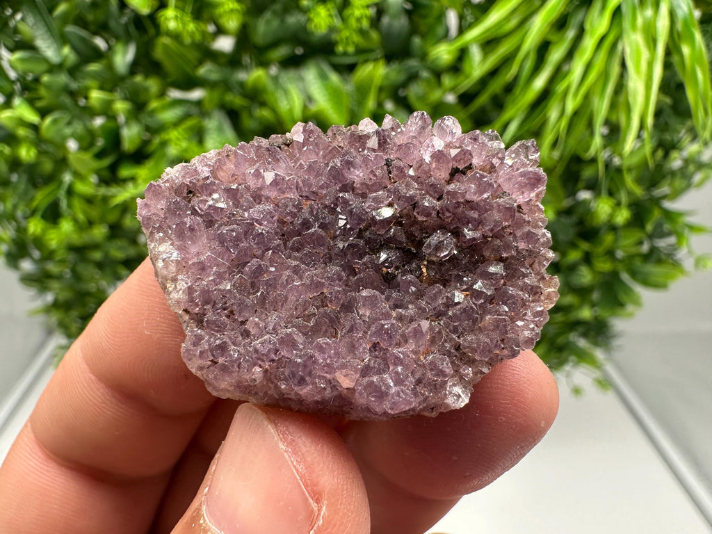 Alacam Amethyst Specimen: Natural Quartz Cluster, Turkish Mineral Decor