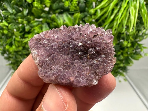 Alacam Amethyst Specimen: Natural Quartz Cluster, Turkish Mineral Decor