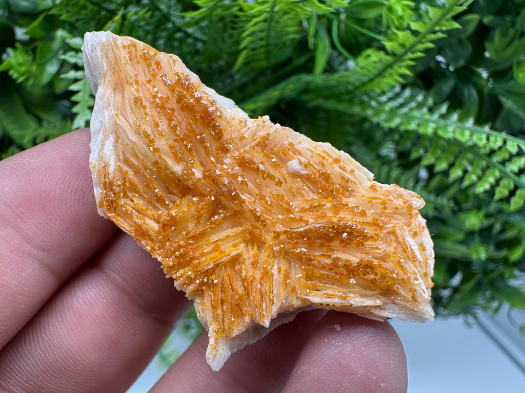 Red Vanadinite on Barite, Morocco Crystal Specimen