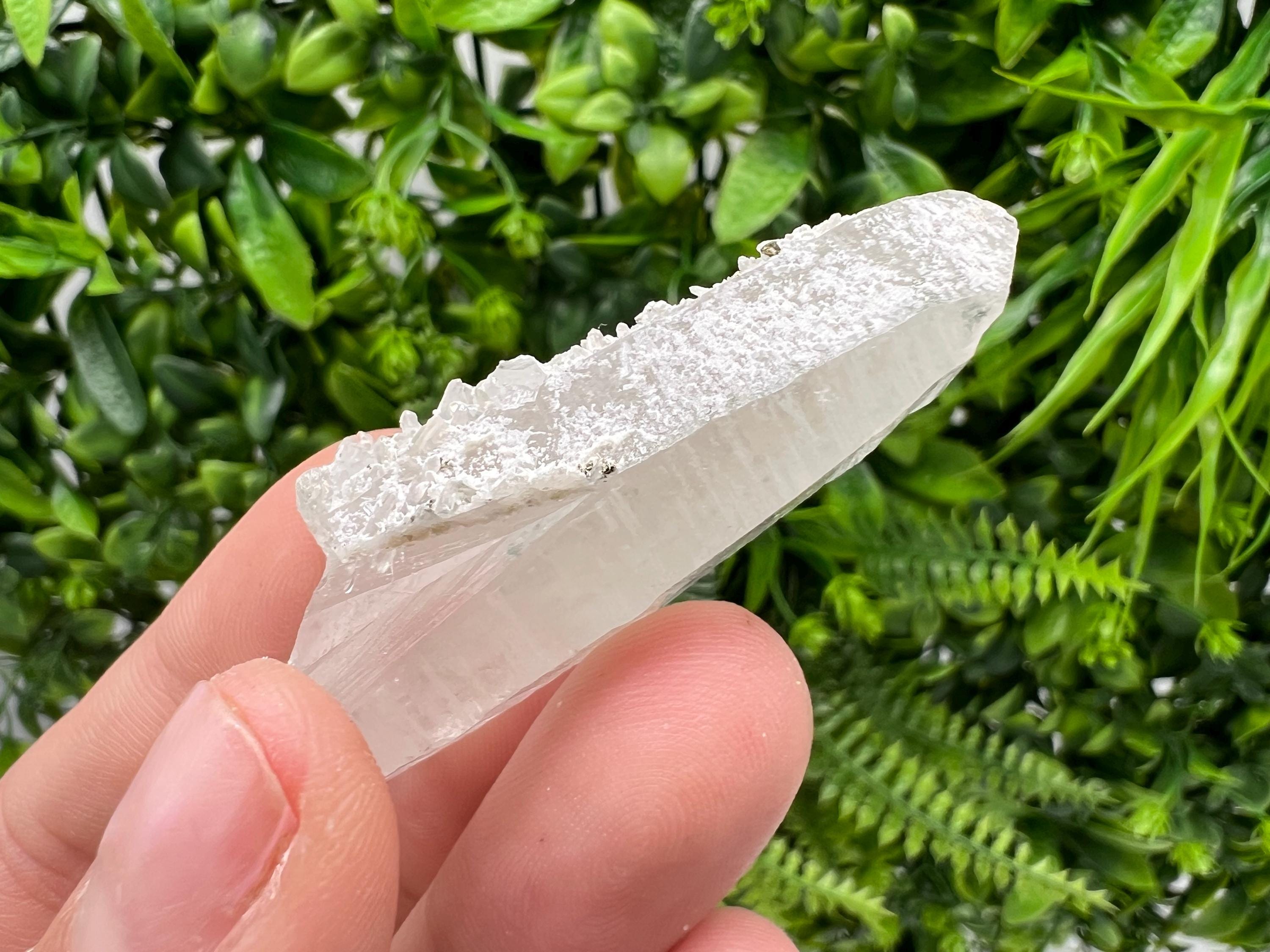 Transparent Quartz on Chlorite Matrix, Borieva Mine, Bulgaria