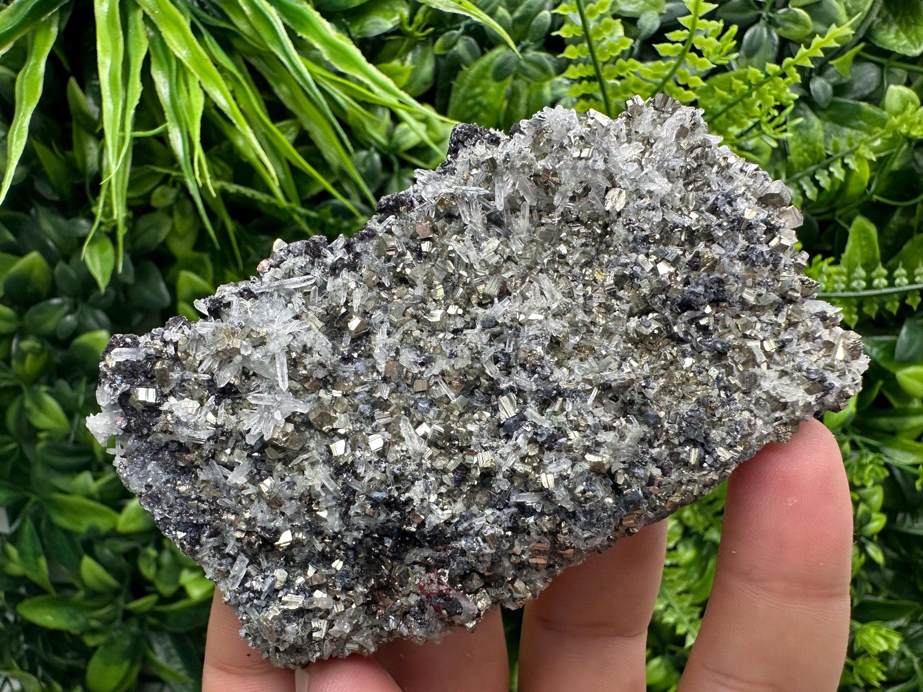 Galena Sphalerite Pyrite on Quartz, Borieva Mine, Bulgaria